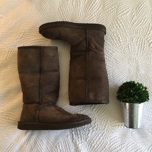 Tall Brown Uggs Size 7